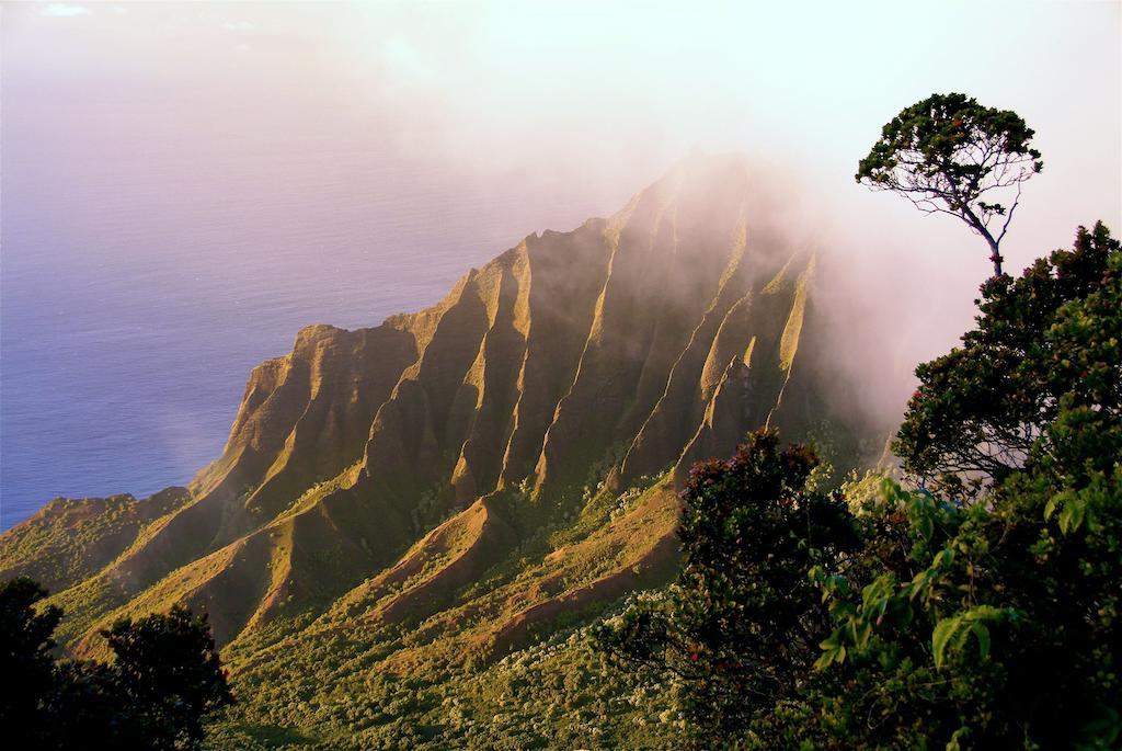 The West Inn Kauai Kekaha Exterior foto